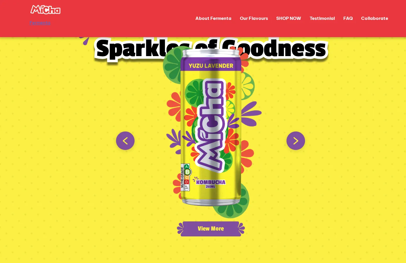 Fermenta sparkling kombucha homepage