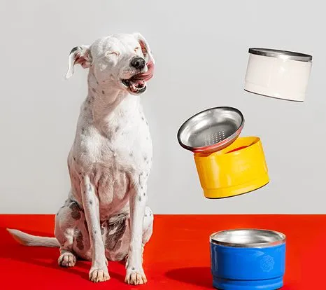 Sereno bowl product photography on a studio background