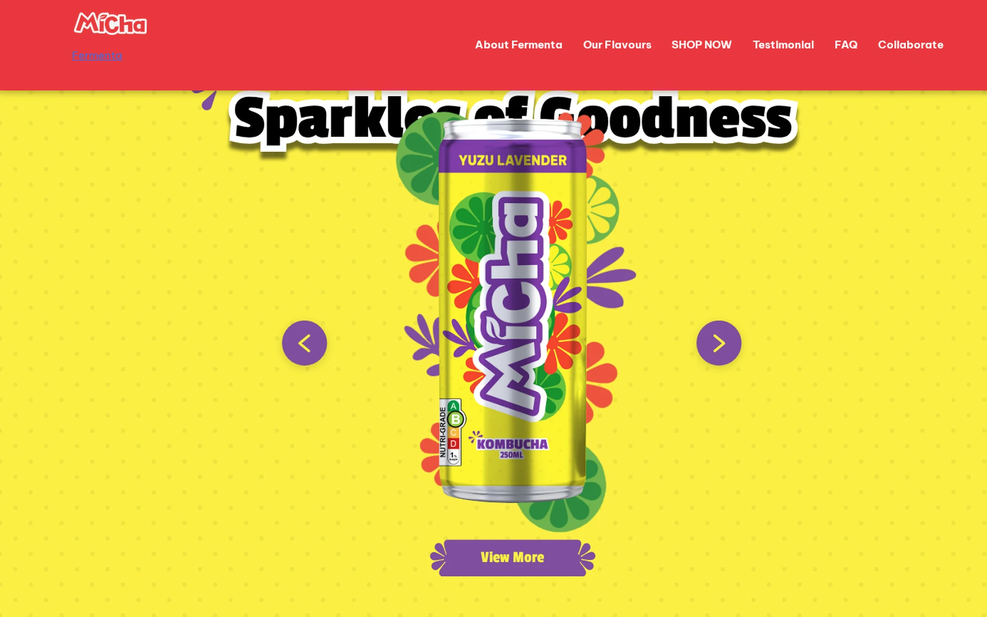 Fermenta home page, sparkling kombucha